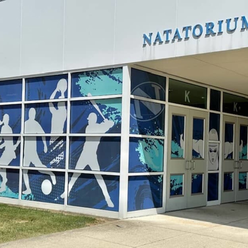 Window Graphics